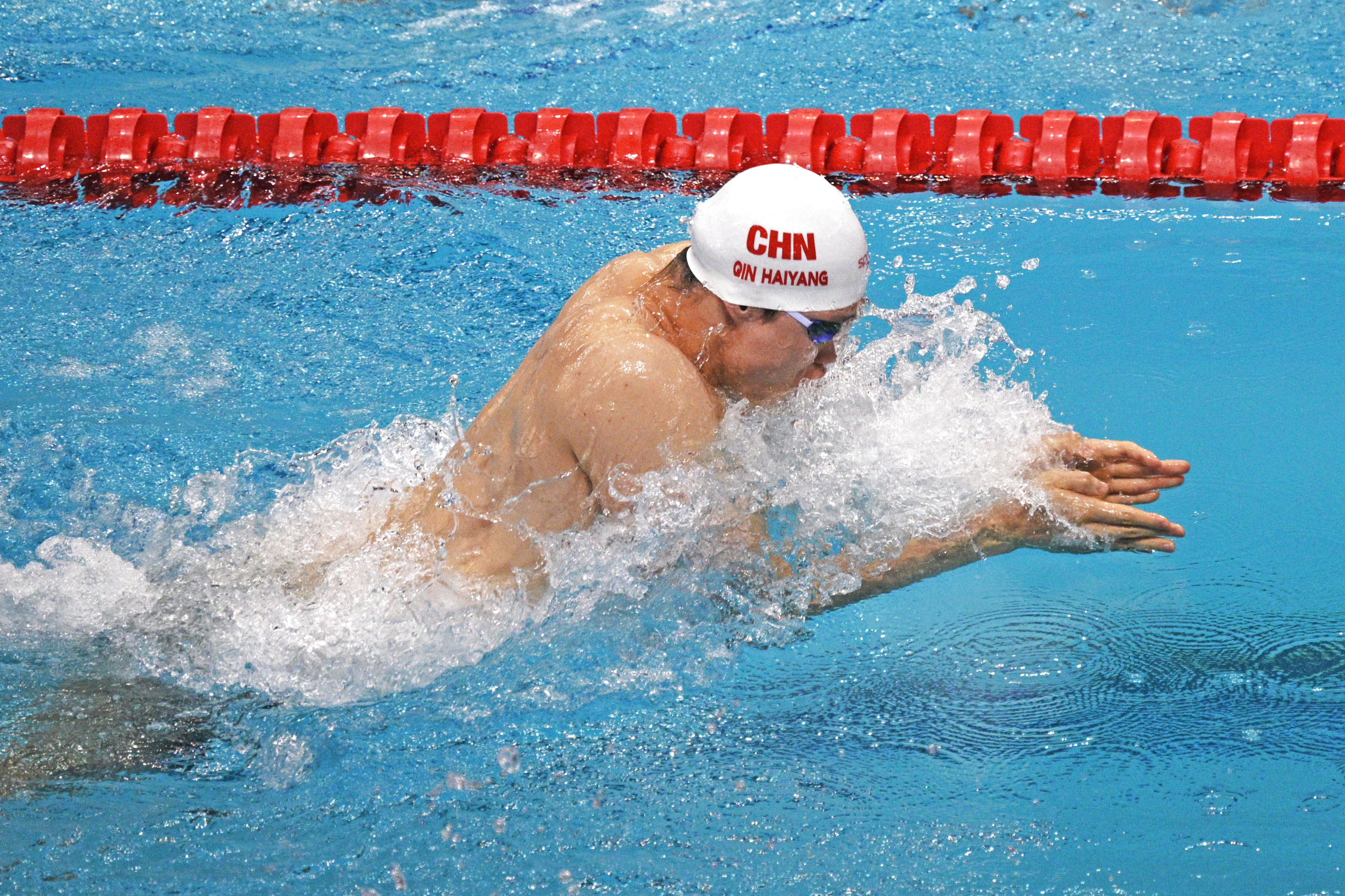 关于游泳再创历史，冠军实至名归的信息