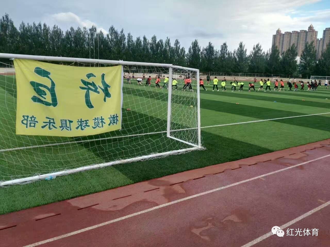 冷静与激情交织！橄榄球完美收官