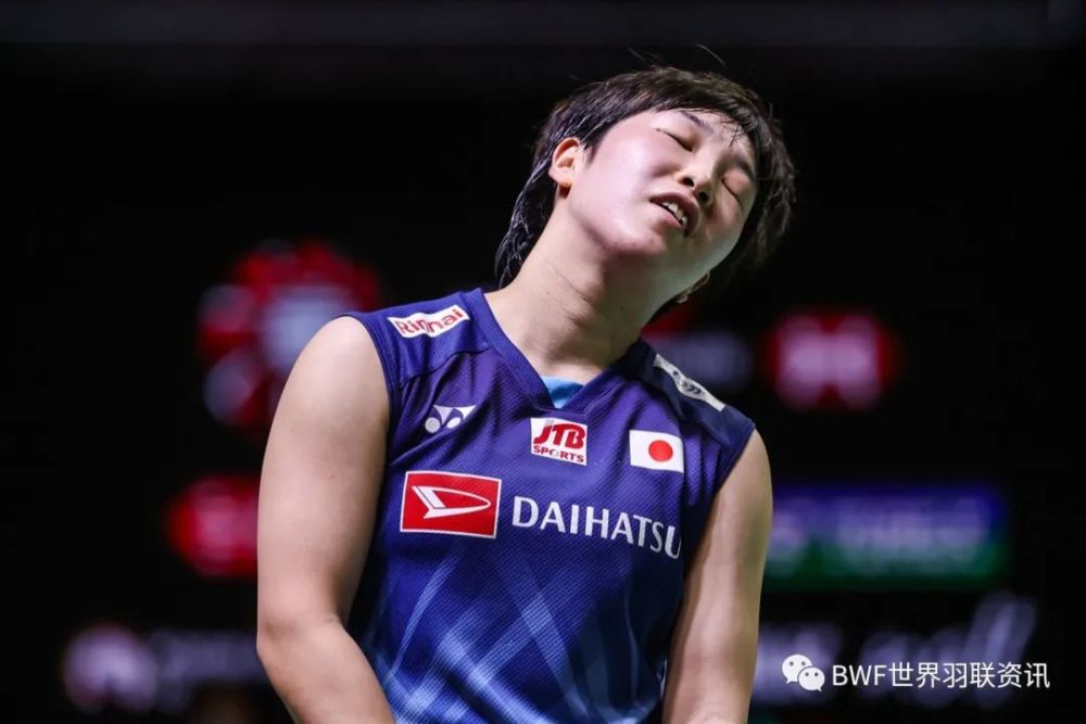 中国队绝杀德国队，戴资颖统治全场的简单介绍