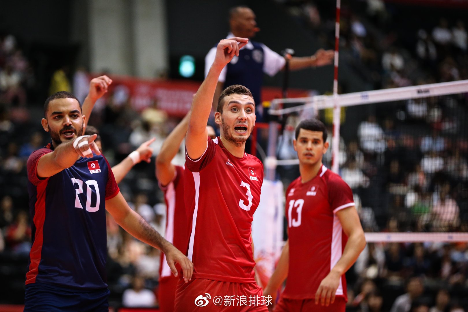 波兰队轻取奥地利队，波尔统治全场