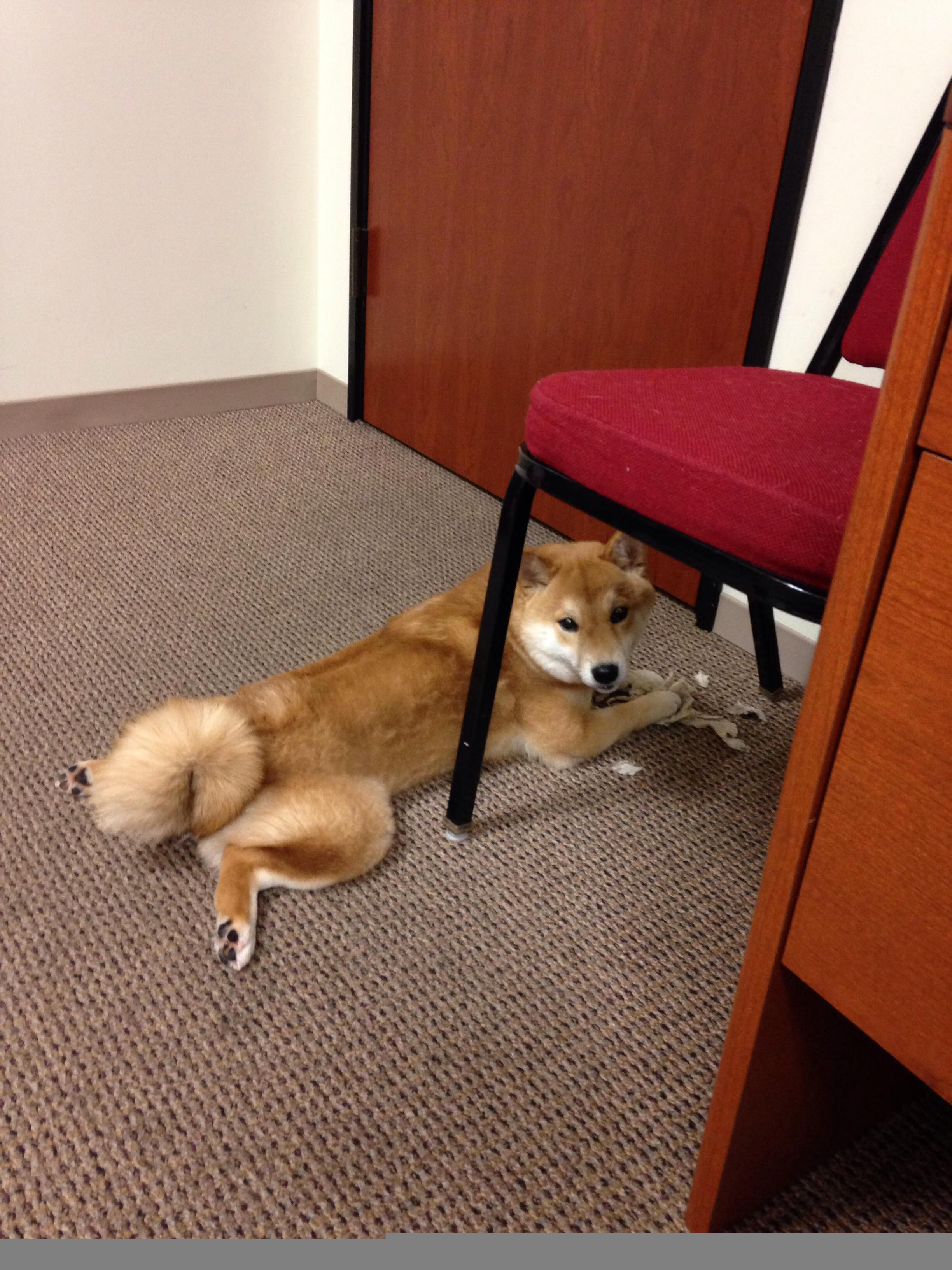 班凯罗8.2秒致命三分，山西队粉碎老鹰的冷静刺杀