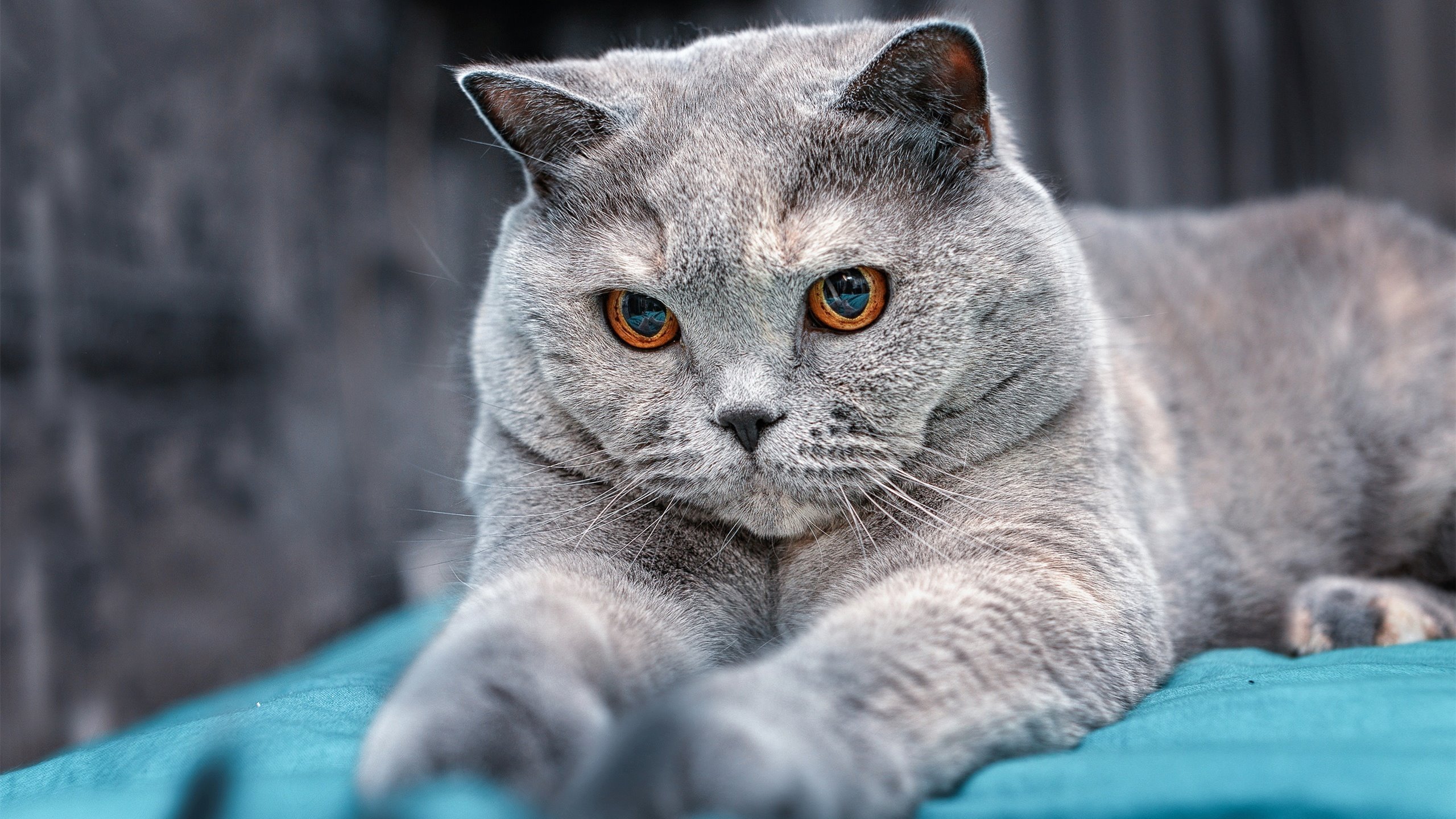 错位时空，当欧文在76人对阵魔术的夜晚突然降临