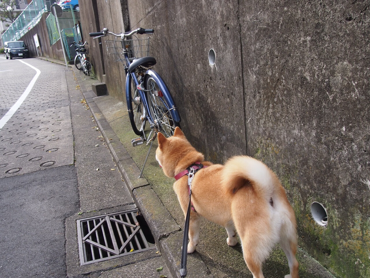 矛盾之战,马克西42分烈焰难敌快船铁索阵
