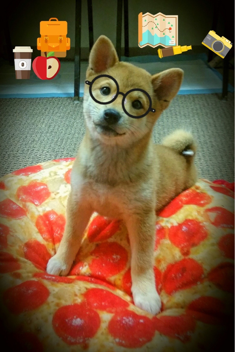 永恒之夜，戈麦斯与那个无可复制的NBA总决赛传奇