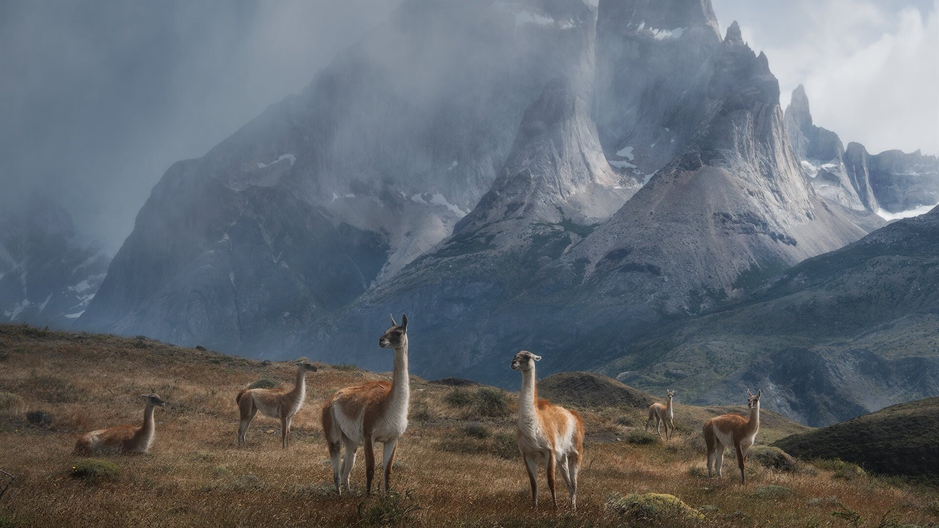 尼克斯力克国王之夜，菜鸟切特的封神一枪