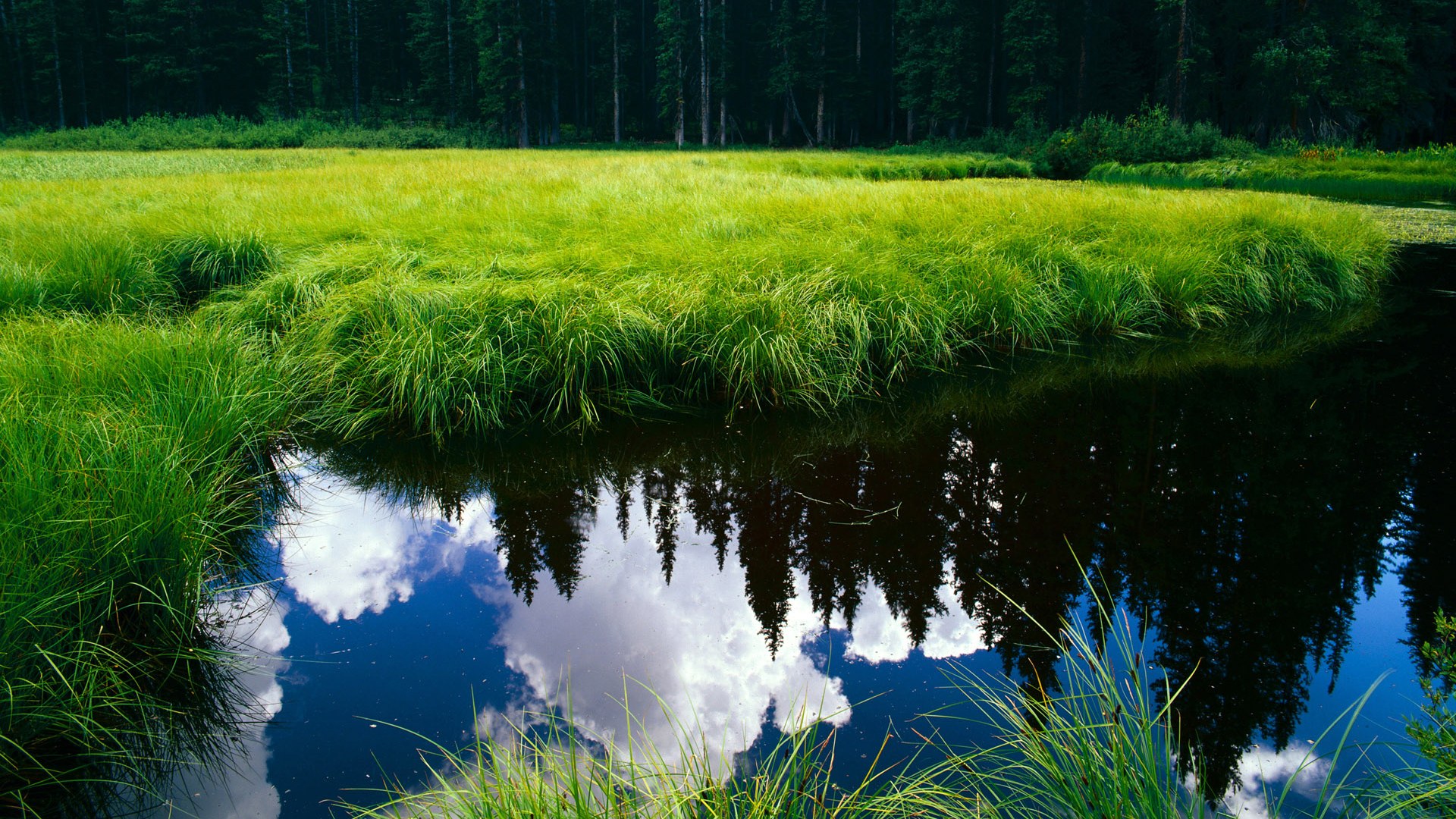 篮下勇者，当范弗利特化身攻城锤，辽宁斩落高原巨人