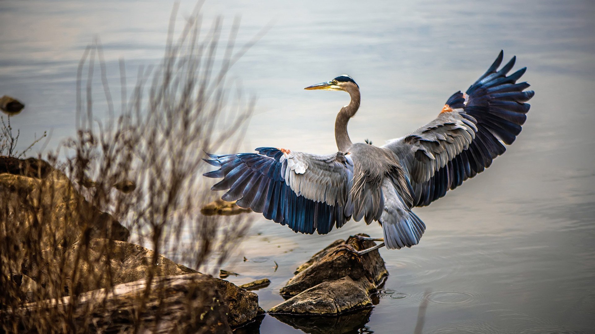 封印时间的舞者，格列兹曼在欧冠决赛夜谱写控制学史诗