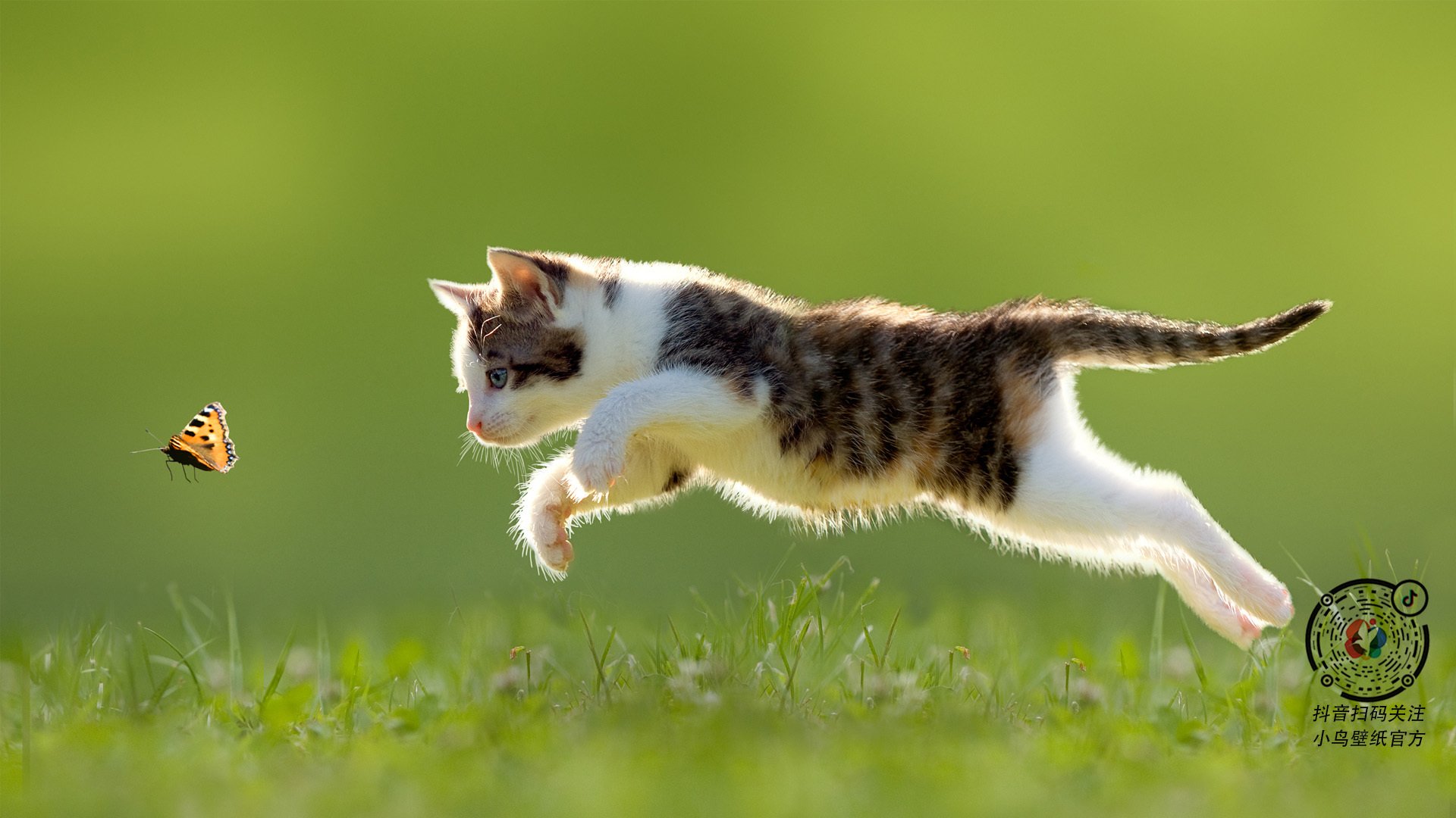 时空错位之夜，当费城激战洛杉矶，达拉斯的星辰正在改写历史