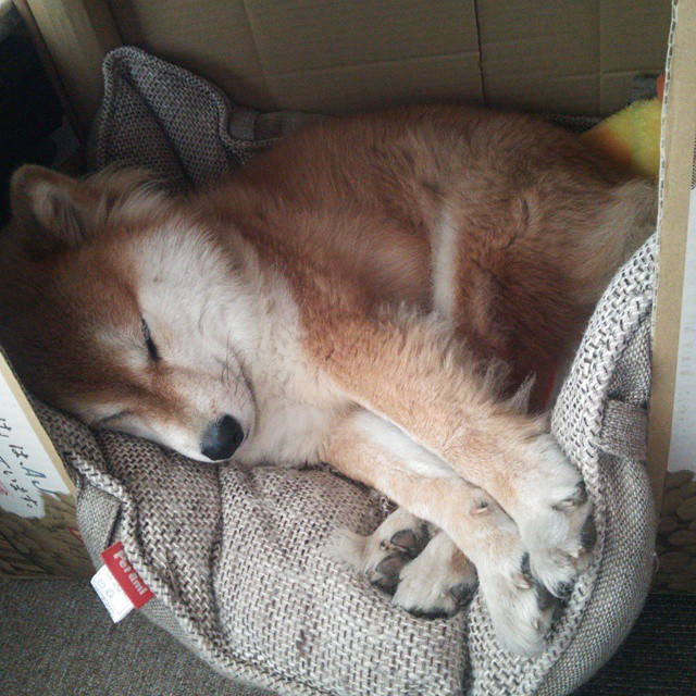 绿茵场上的冰山法则，基耶萨的锐点与卡塔尔的冻土战术