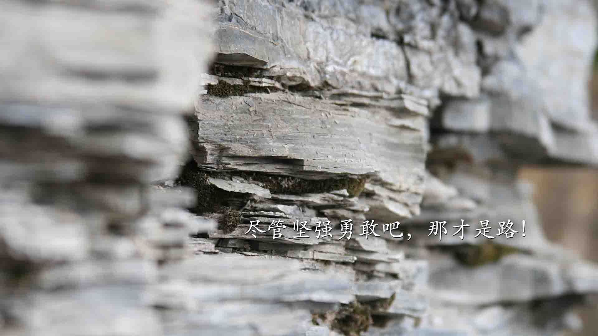 篮球世界双星闪耀，热火完胜北京队，爱德华兹德甲争冠战封神