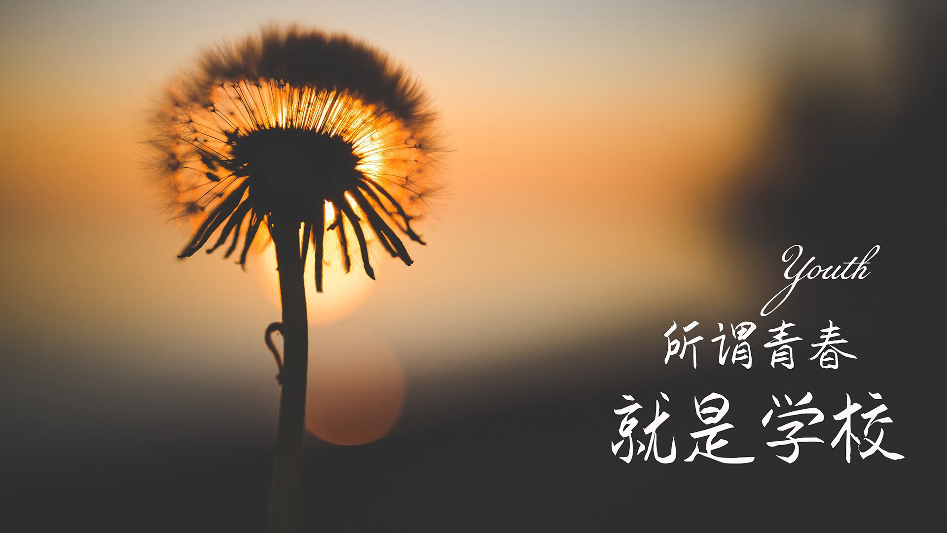 2026世界杯焦点战，尼日利亚的防守反击密码—阿方索·戴维斯一个人的狂欢