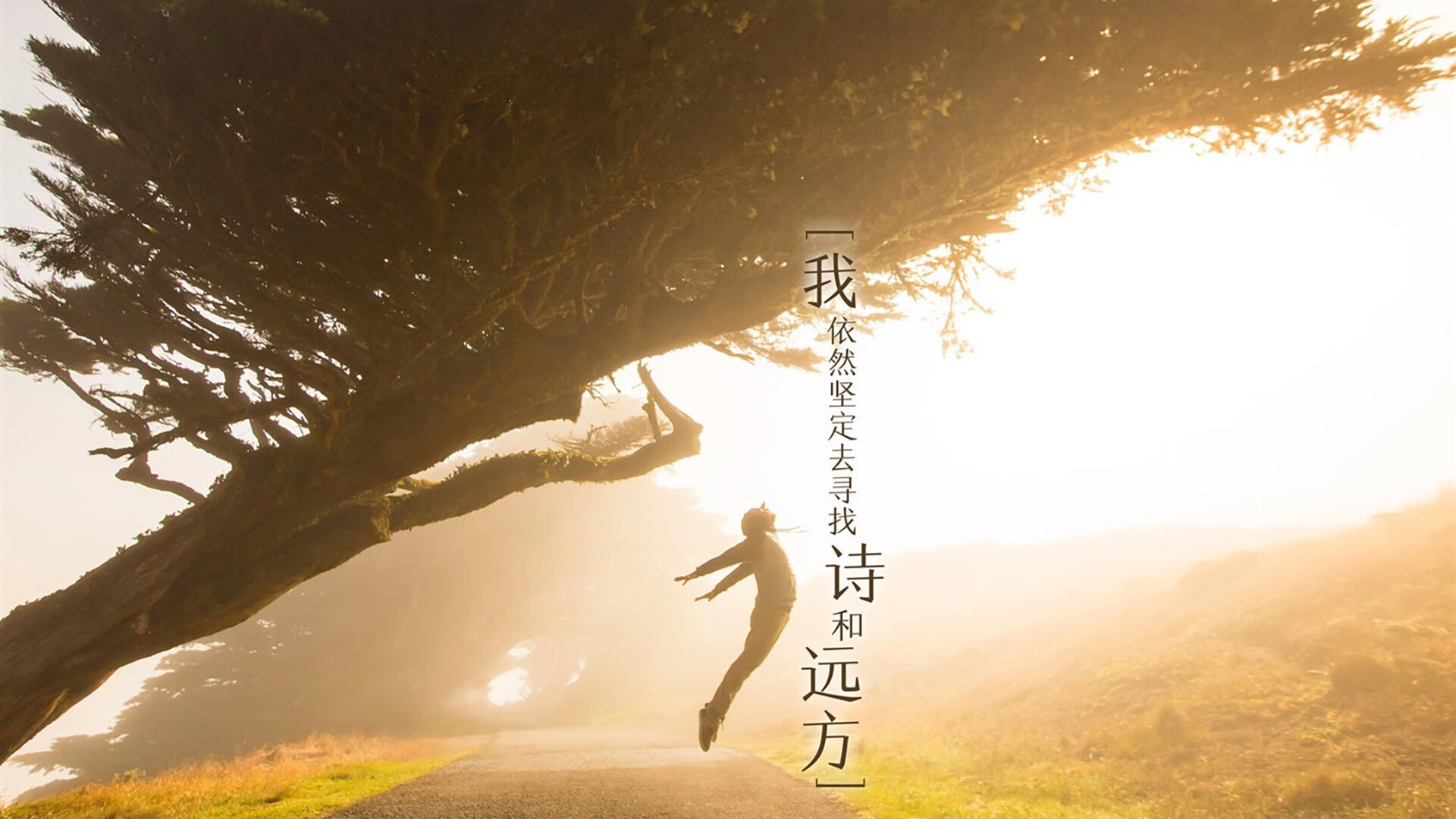 唯一变量，2026，坎塞洛如何用异类身份定义一场世界杯的世纪对决