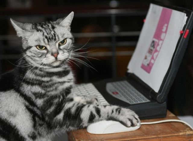 2026世界杯A组惊魂夜,塞尔维亚第95分钟绝杀智利,归化锋霸吉鲁两射一传引爆进攻狂潮