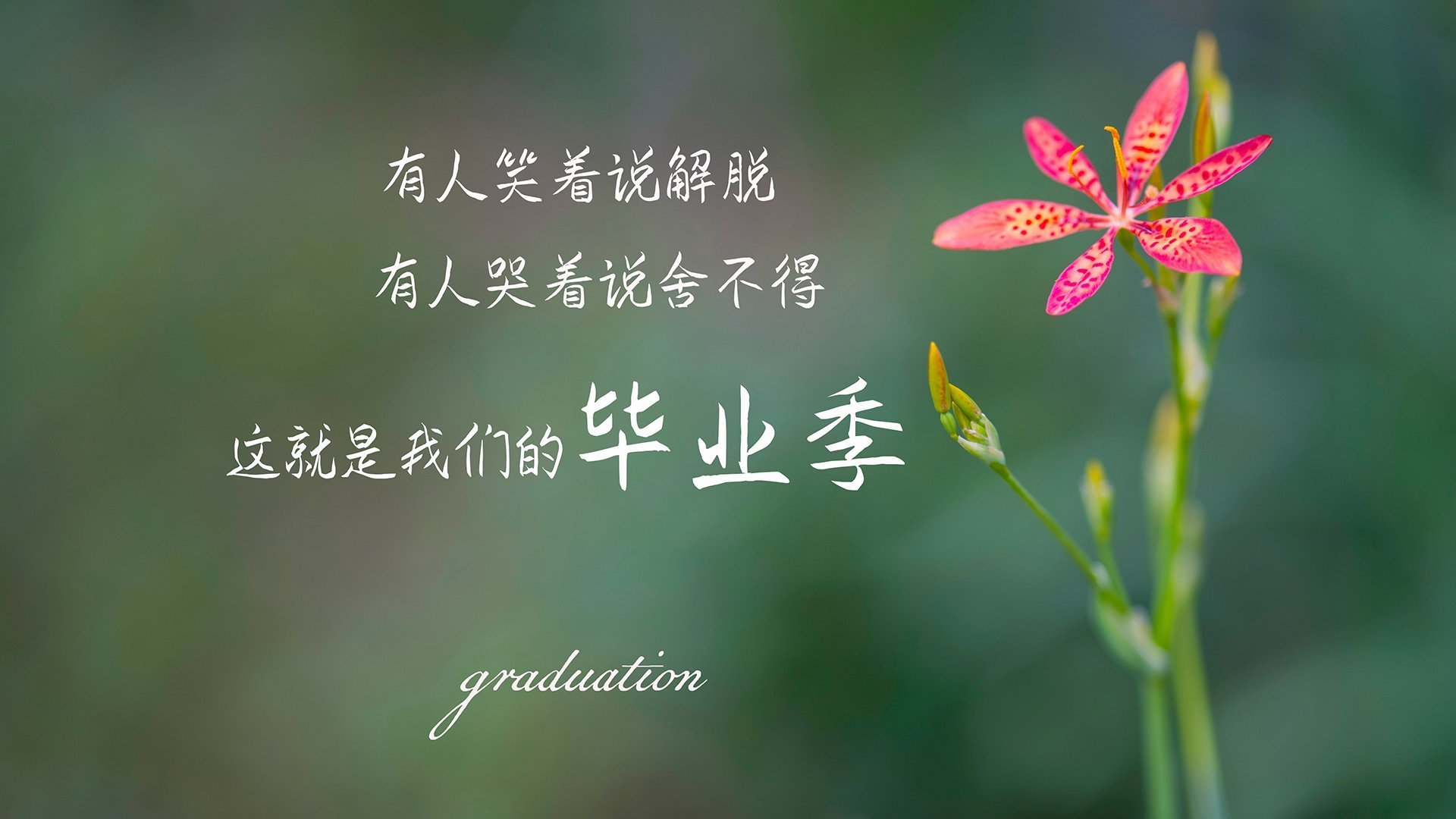 绿茵织网，穆西亚拉以控球为笔，书写突尼斯在2026世界杯G组的险胜史诗